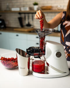 727 red currants 2 (1)