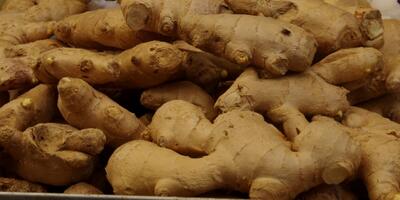 close-up-of-fresh-ginger-root