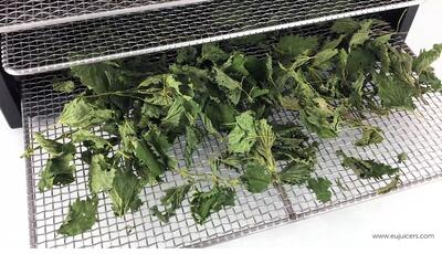 Nettles2