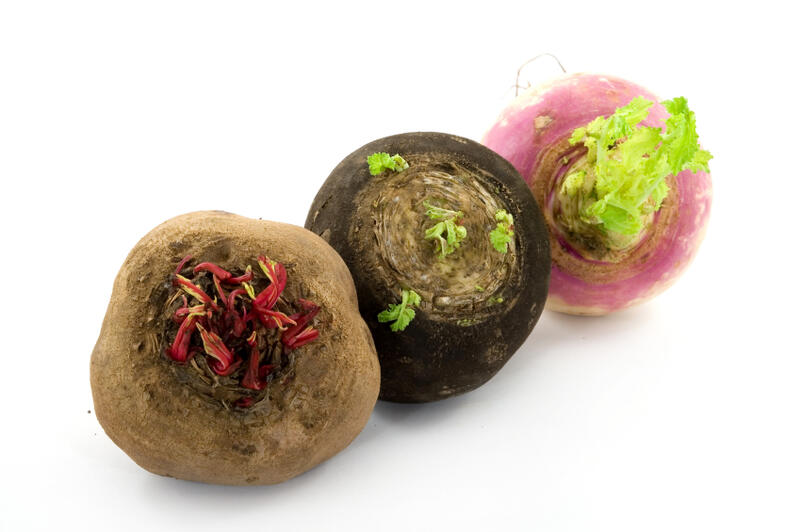 Do you know what is the difference between turnip and beet? Magazine