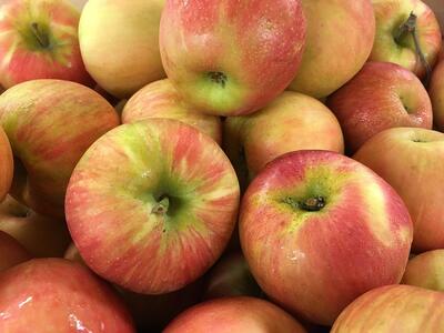 honeycrisp