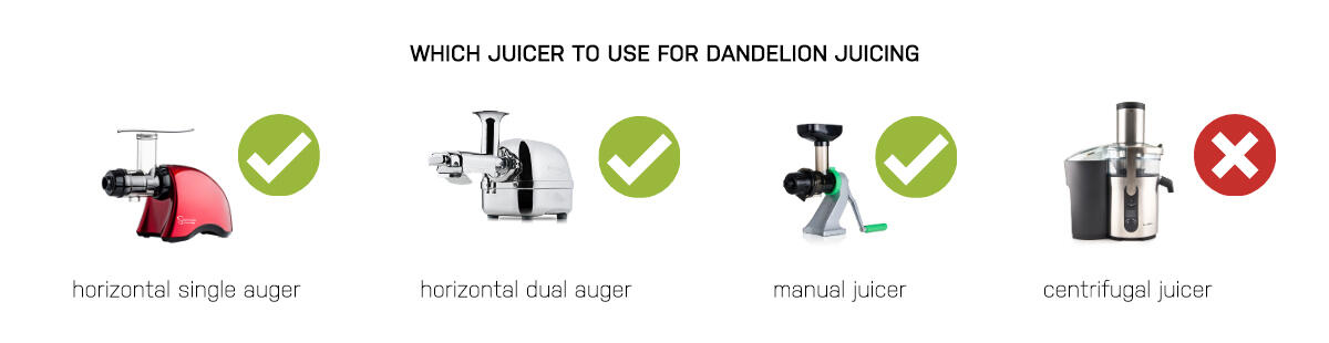 Which juicer for dandelions