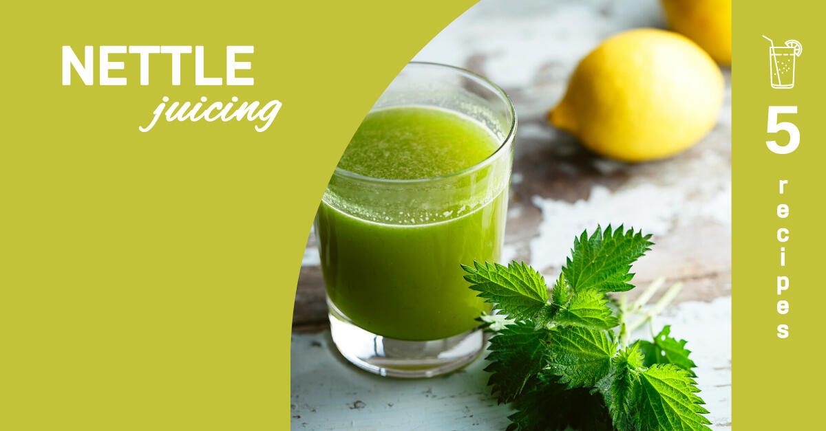 nettle juicing