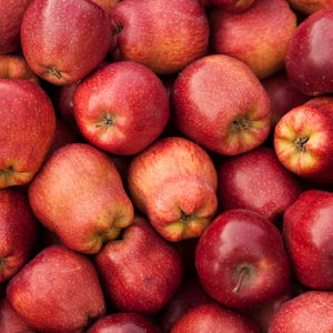 The Best Apples for Juicing (18 Varieties to Try!)